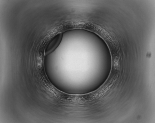 X0000101221204200806271439