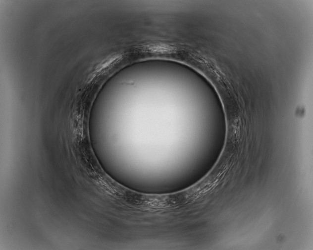 X0000101221205200806271439