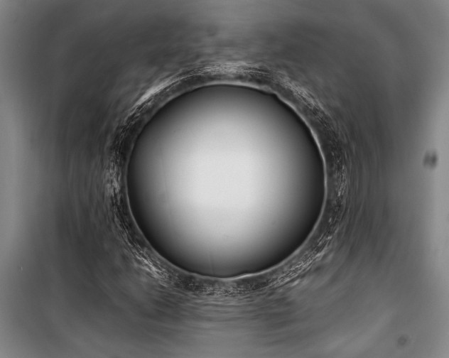 X0000101221206200806271439