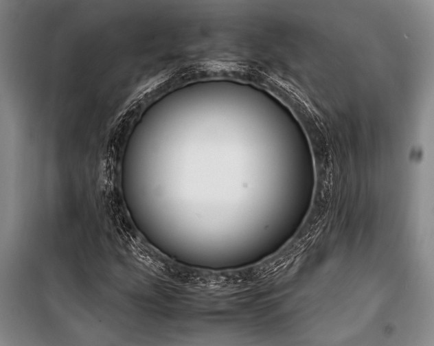 X0000101221207200806271439