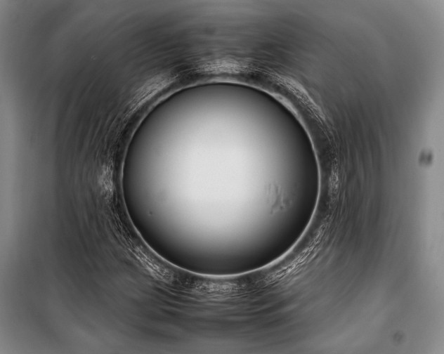 X0000101221209200806271439