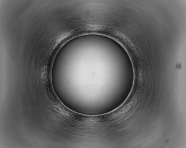 X0000101221210200806271439