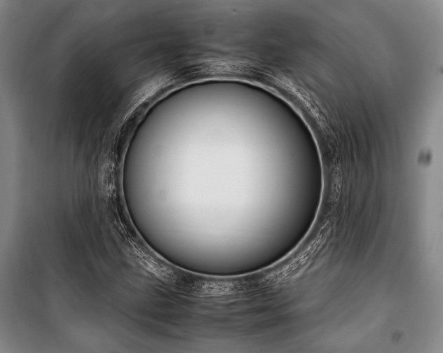 X0000101221211200806271439