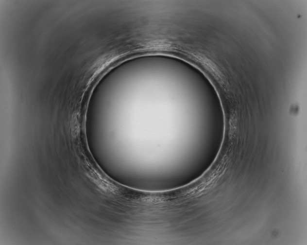 X0000101221212200806271439