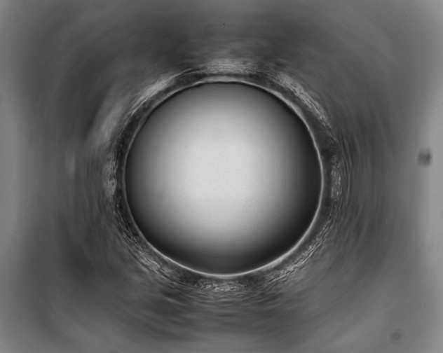 X0000101221213200806271439