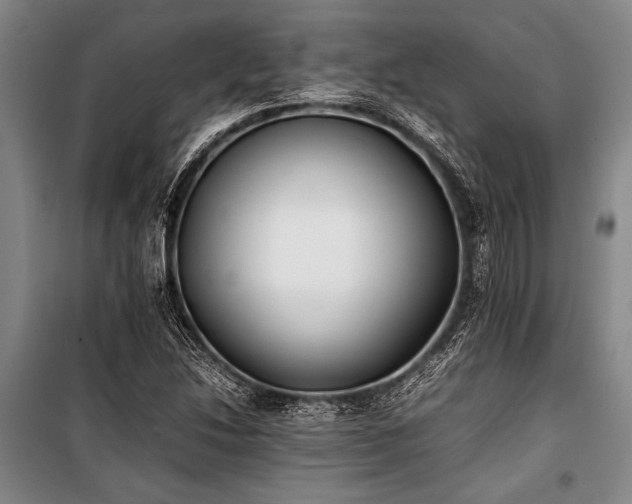 X0000101221214200806271439