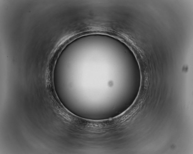 X0000101221215200806271439