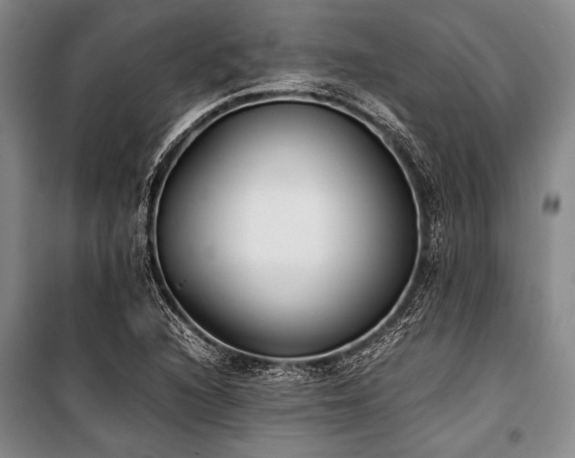 X0000101221216200806271439