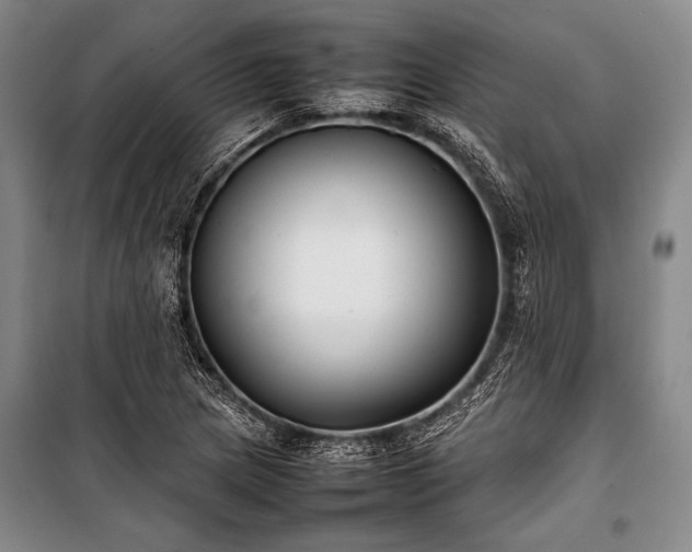 X0000101221217200806271439
