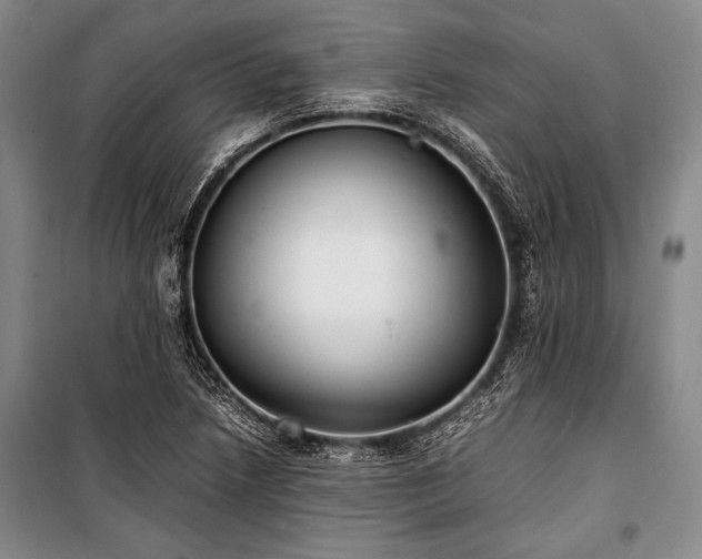 X0000101221218200806271439