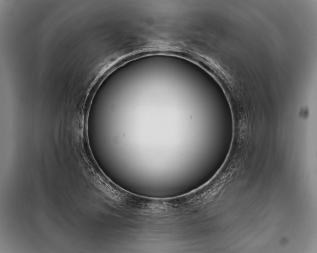 X0000101221220200806271439