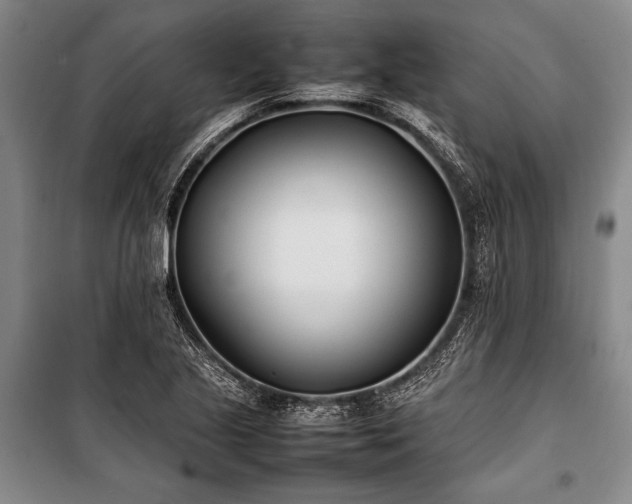 X0000101221221200806271439