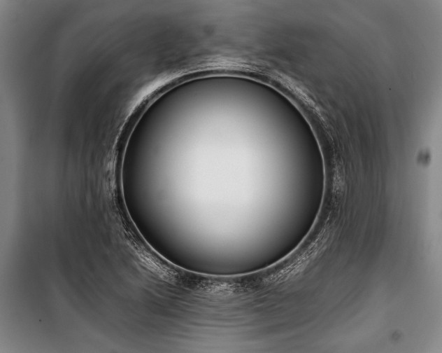 X0000101221222200806271439