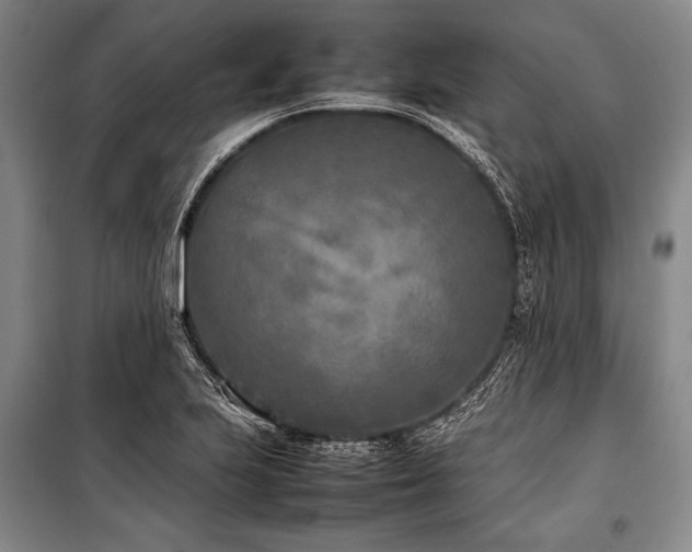 X0000101221223200806271439