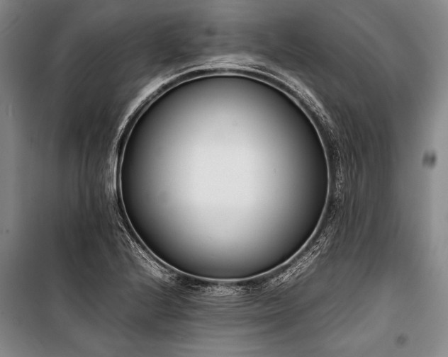 X0000101221224200806271439