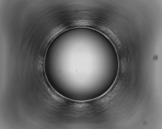 X0000101221225200806271439