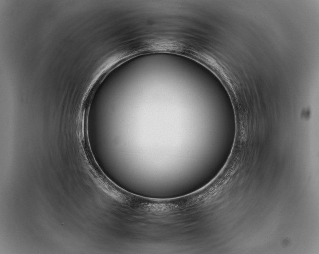 X0000101221227200806271439