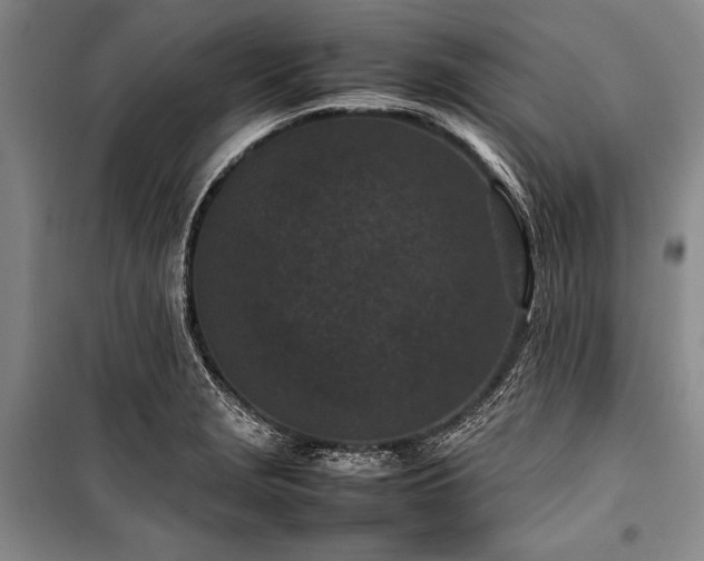 X0000101221229200806271439