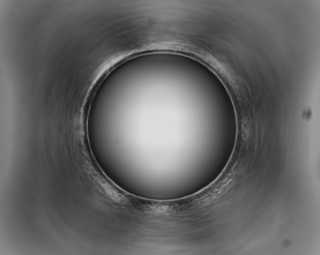 X0000101221230200806271439