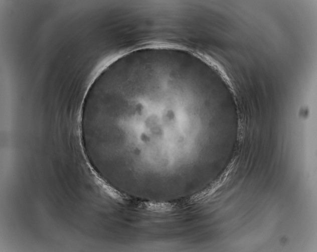 X0000101221231200806271439