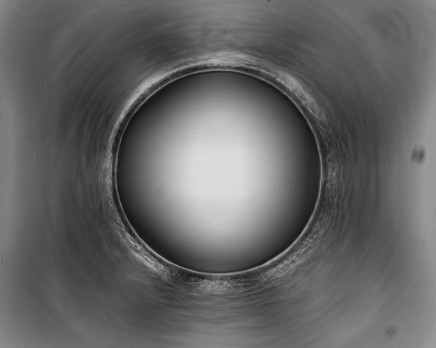 X0000101221232200806271439