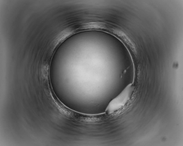 X0000101221233200806271439