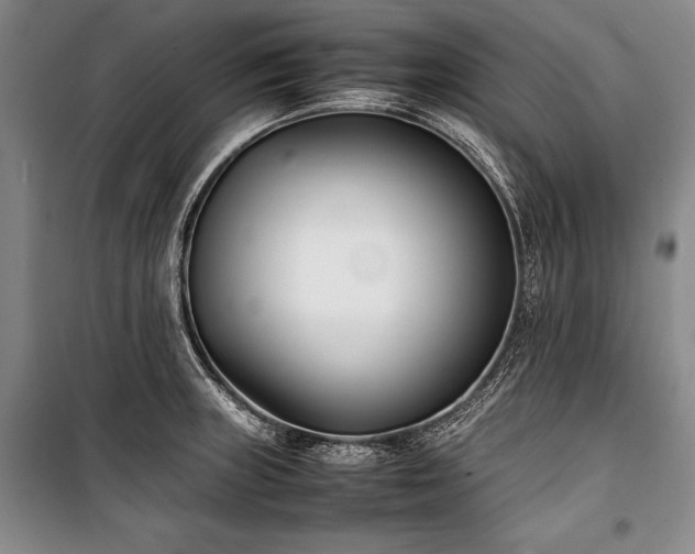 X0000101221235200806271439
