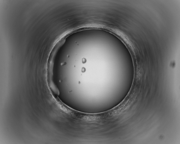 X0000101221237200806271439