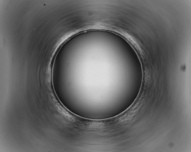 X0000101221238200806271439
