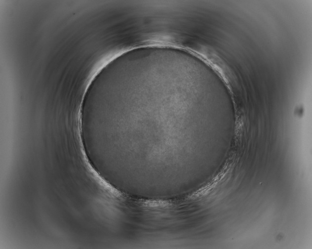 X0000101221239200806271439