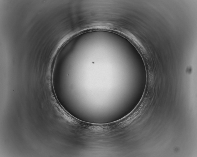 X0000101221240200806271439