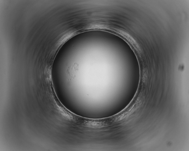 X0000101221241200806271439