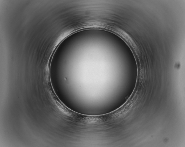 X0000101221242200806271439