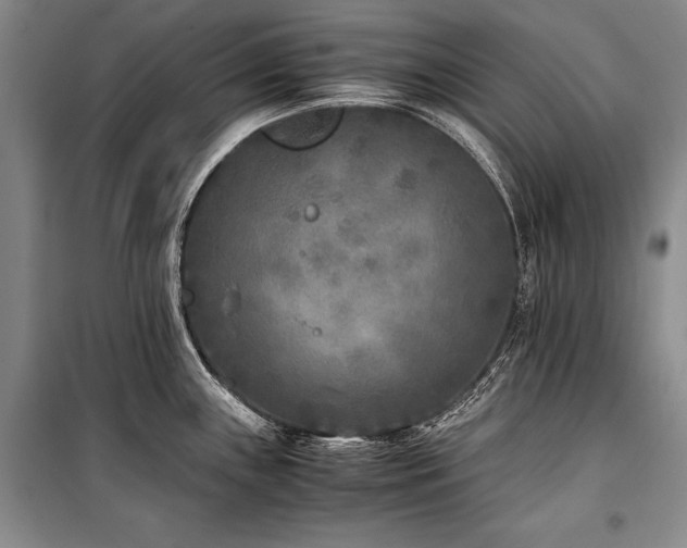 X0000101221243200806271440