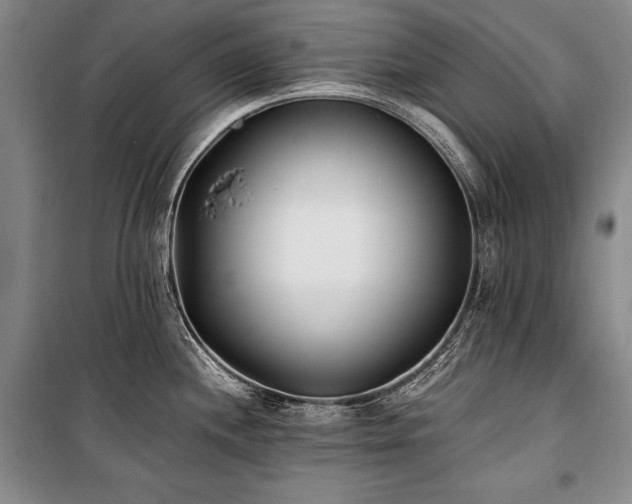 X0000101221244200806271440