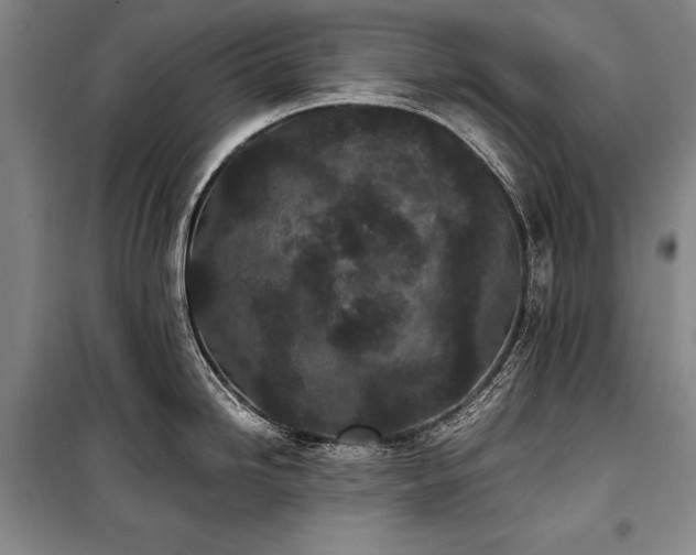 X0000101221246200806271440
