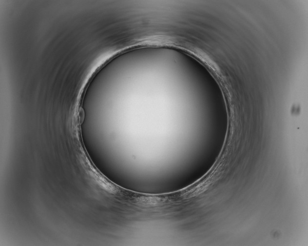 X0000101221248200806271440
