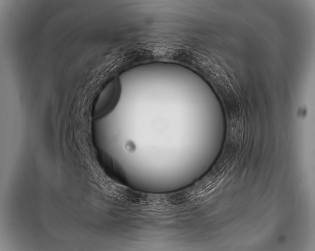 X0000101221249200806271439