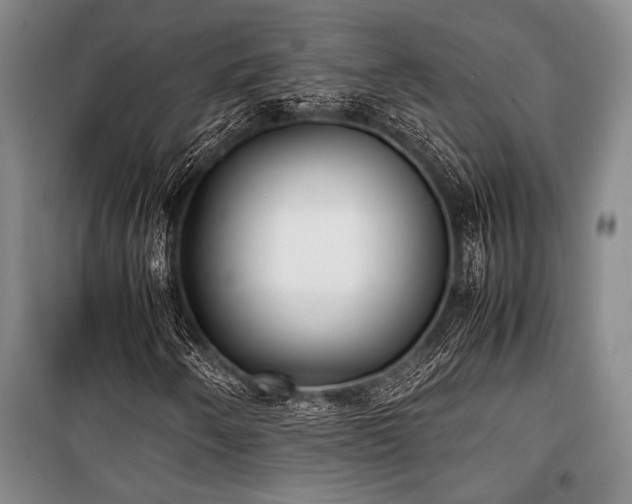 X0000101221250200806271439