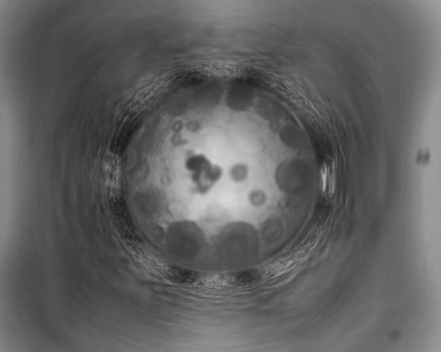 X0000101221251200806271439