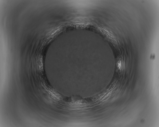 X0000101221252200806271439
