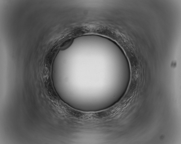 X0000101221253200806271439