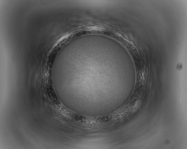 X0000101221254200806271439