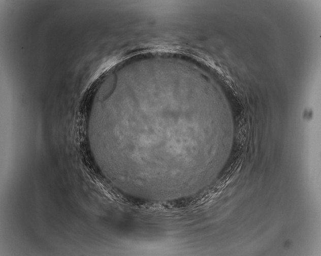 X0000101221255200806271439