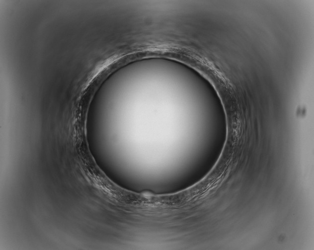 X0000101221256200806271439