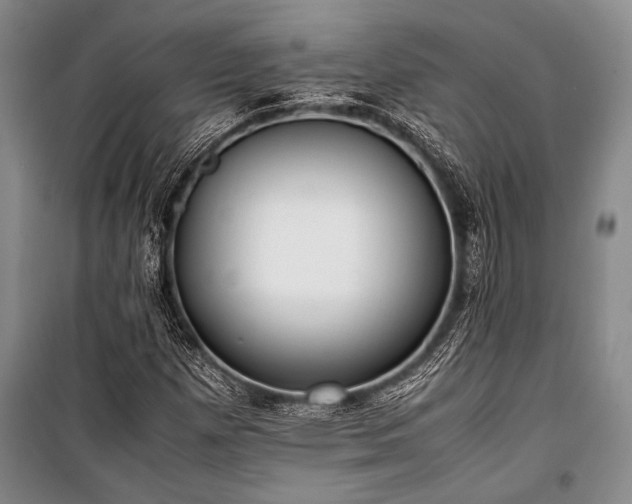 X0000101221257200806271439