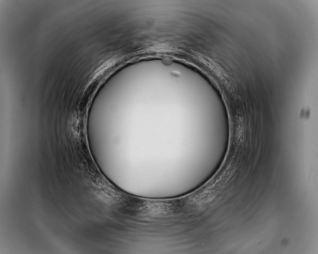 X0000101221258200806271439