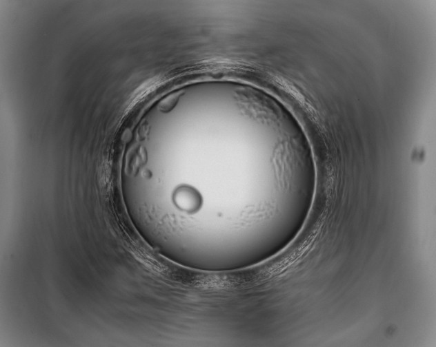 X0000101221259200806271439