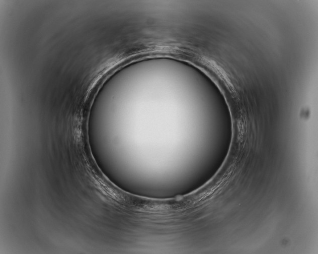 X0000101221260200806271439