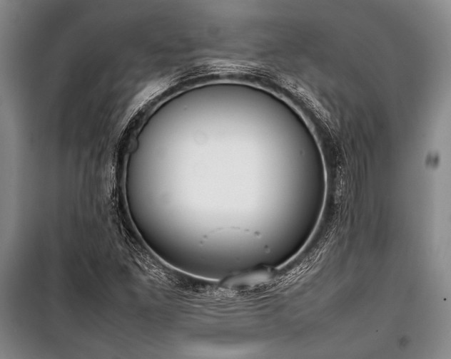 X0000101221261200806271439